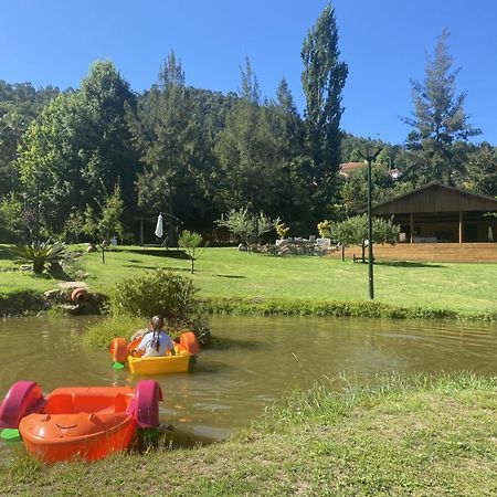 Vila Quinta Da Vinha Do Souto Arouca Exteriér fotografie