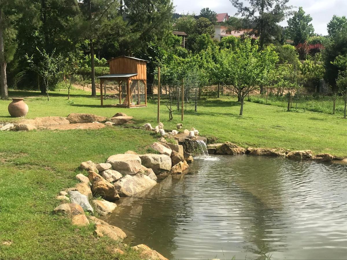 Vila Quinta Da Vinha Do Souto Arouca Exteriér fotografie