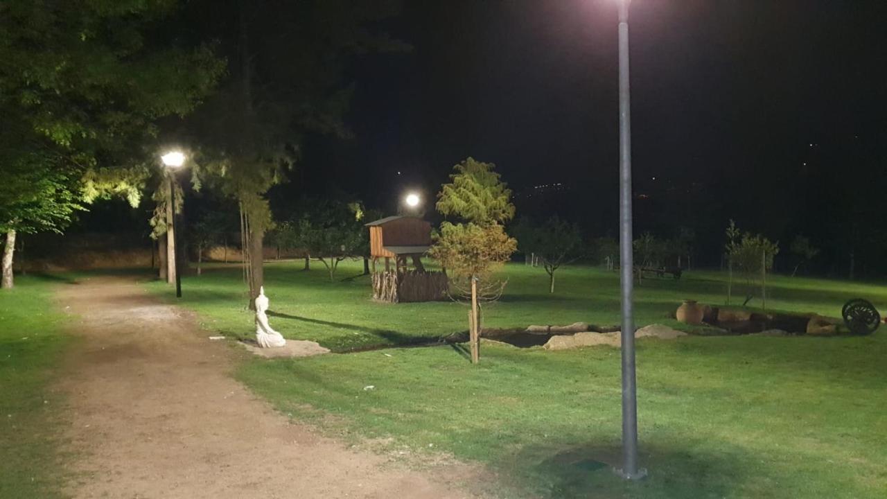 Vila Quinta Da Vinha Do Souto Arouca Exteriér fotografie