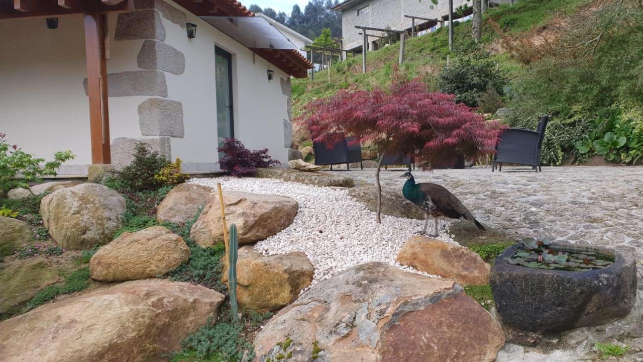 Vila Quinta Da Vinha Do Souto Arouca Exteriér fotografie