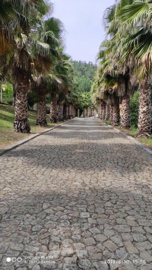 Vila Quinta Da Vinha Do Souto Arouca Exteriér fotografie