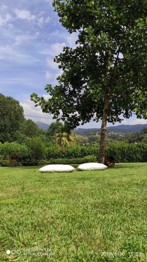 Vila Quinta Da Vinha Do Souto Arouca Exteriér fotografie
